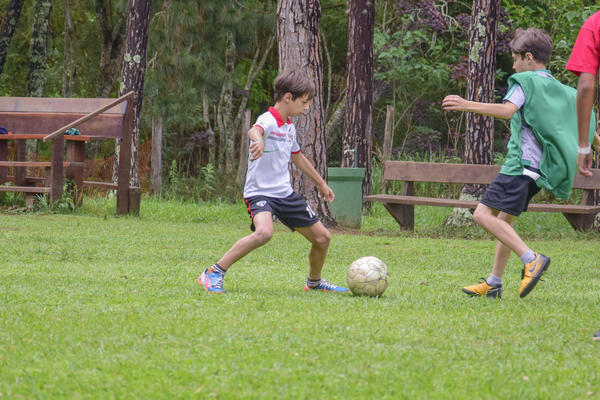 Buy your photos of the eventNR1 � Ol� 6� Ano � 10 a 12/11/17 on Fotop