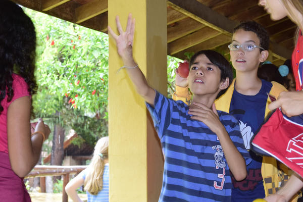 Buy your photos of the eventNR1 � Ol� 6� Ano � 10 a 12/11/17 on Fotop