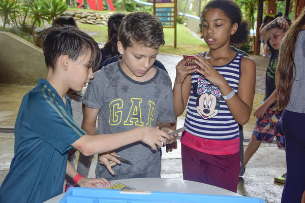 Buy your photos of the eventNR1 � Ol� 6� Ano � 10 a 12/11/17 on Fotop