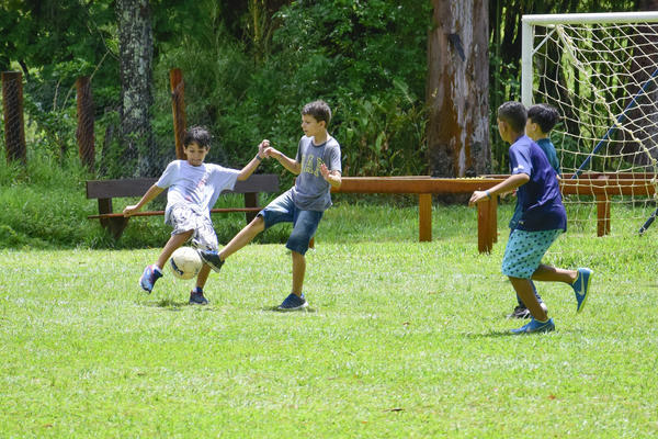 Buy your photos of the eventNR1 � Ol� 6� Ano � 10 a 12/11/17 on Fotop