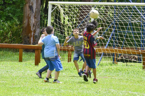 Buy your photos of the eventNR1 � Ol� 6� Ano � 10 a 12/11/17 on Fotop