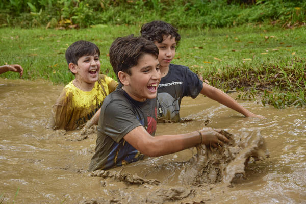 Buy your photos of the eventNR1 � Ol� 6� Ano � 10 a 12/11/17 on Fotop