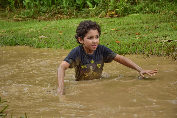 Buy your photos of the eventNR1 � Ol� 6� Ano � 10 a 12/11/17 on Fotop