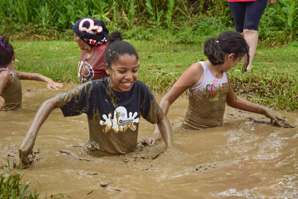 Buy your photos of the eventNR1 � Ol� 6� Ano � 10 a 12/11/17 on Fotop