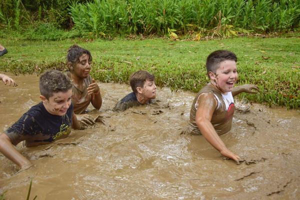 Buy your photos of the eventNR1 � Ol� 6� Ano � 10 a 12/11/17 on Fotop