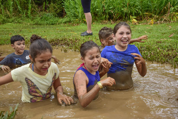Buy your photos of the eventNR1 � Ol� 6� Ano � 10 a 12/11/17 on Fotop