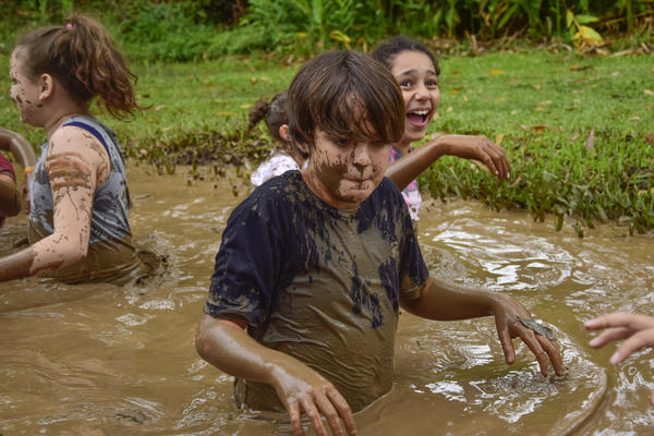 Buy your photos of the eventNR1 � Ol� 6� Ano � 10 a 12/11/17 on Fotop