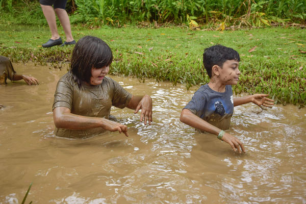 Buy your photos of the eventNR1 � Ol� 6� Ano � 10 a 12/11/17 on Fotop