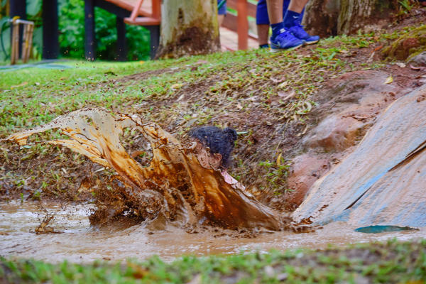 Buy your photos of the eventNR1 � Ol� 6� Ano � 10 a 12/11/17 on Fotop