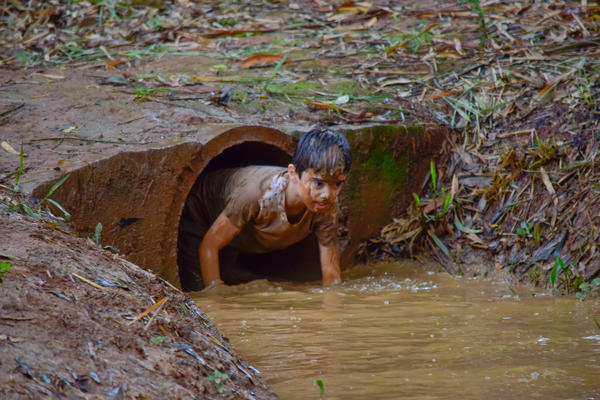 Buy your photos of the eventNR1 � Ol� 6� Ano � 10 a 12/11/17 on Fotop
