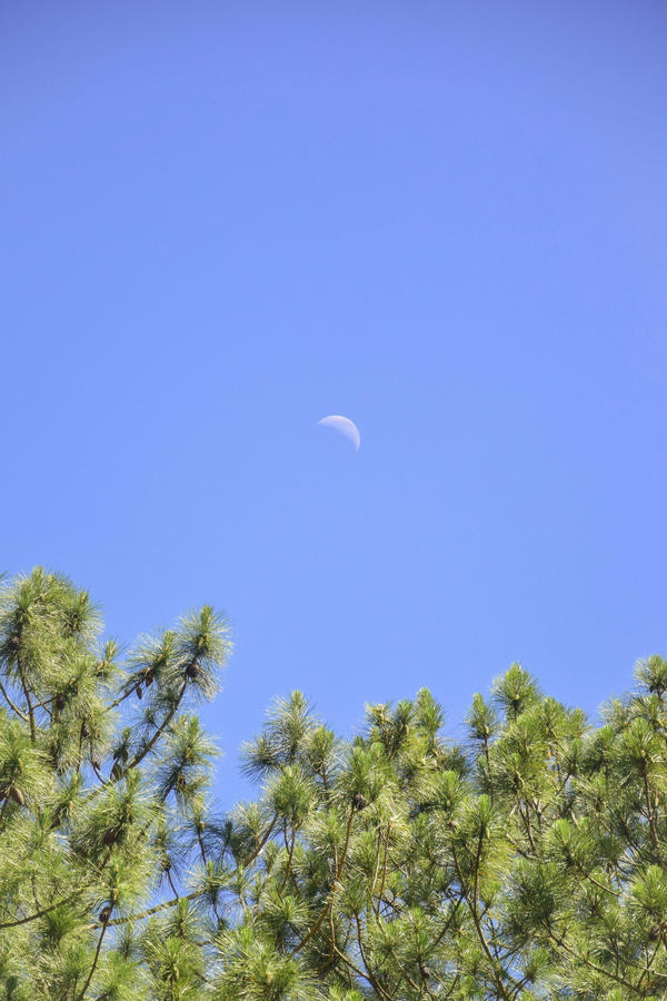 Buy your photos of the eventNR1 � Ol� 6� Ano � 10 a 12/11/17 on Fotop