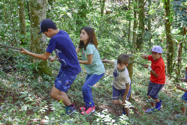 Buy your photos of the eventNR1 � Ol� 6� Ano � 10 a 12/11/17 on Fotop