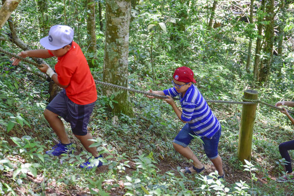 Buy your photos of the eventNR1 � Ol� 6� Ano � 10 a 12/11/17 on Fotop