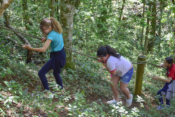 Buy your photos of the eventNR1 � Ol� 6� Ano � 10 a 12/11/17 on Fotop