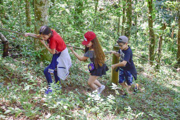 Buy your photos of the eventNR1 � Ol� 6� Ano � 10 a 12/11/17 on Fotop