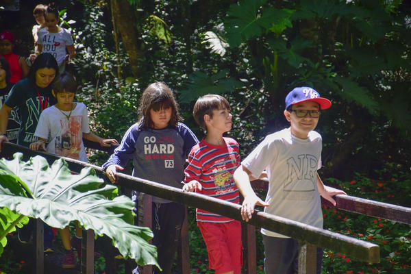 Buy your photos of the eventNR1 � Ol� 6� Ano � 10 a 12/11/17 on Fotop