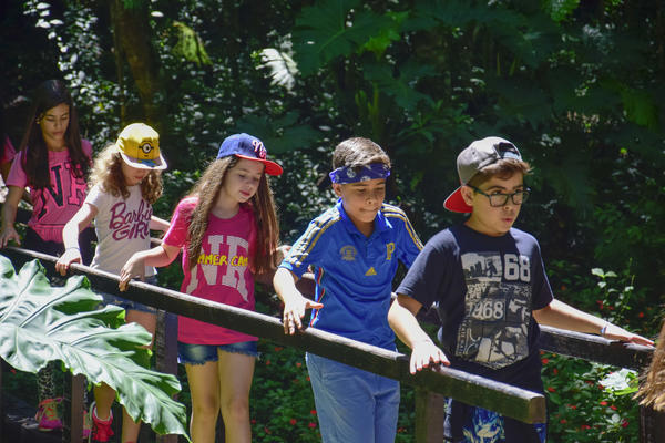 Buy your photos of the eventNR1 � Ol� 6� Ano � 10 a 12/11/17 on Fotop