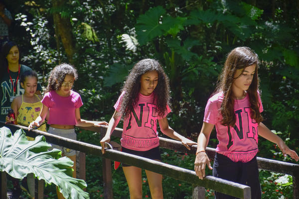 Buy your photos of the eventNR1 � Ol� 6� Ano � 10 a 12/11/17 on Fotop