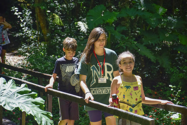 Buy your photos of the eventNR1 � Ol� 6� Ano � 10 a 12/11/17 on Fotop