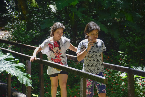 Buy your photos of the eventNR1 � Ol� 6� Ano � 10 a 12/11/17 on Fotop