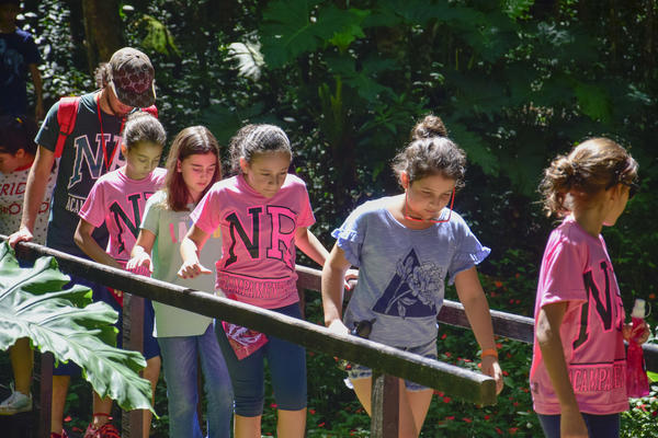 Buy your photos of the eventNR1 � Ol� 6� Ano � 10 a 12/11/17 on Fotop