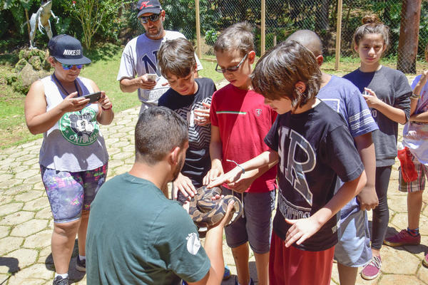 Buy your photos of the eventNR1 � Ol� 6� Ano � 10 a 12/11/17 on Fotop