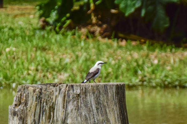 Buy your photos of the eventNR SUN - 12 a 15/11/17 on Fotop