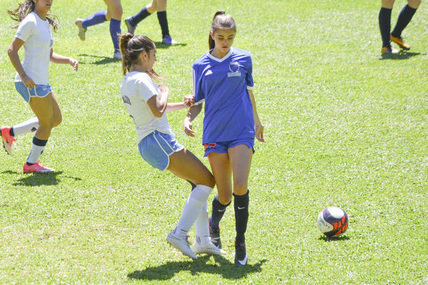 Buy your photos of the eventNR2 - Big 8 - 12 a 18/11/17 on Fotop