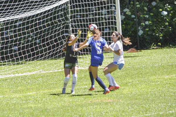 Buy your photos of the eventNR2 - Big 8 - 12 a 18/11/17 on Fotop