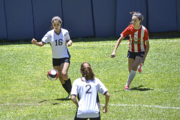 Buy your photos of the eventNR2 - Big 8 - 12 a 18/11/17 on Fotop