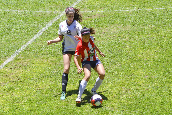 Buy your photos of the eventNR2 - Big 8 - 12 a 18/11/17 on Fotop