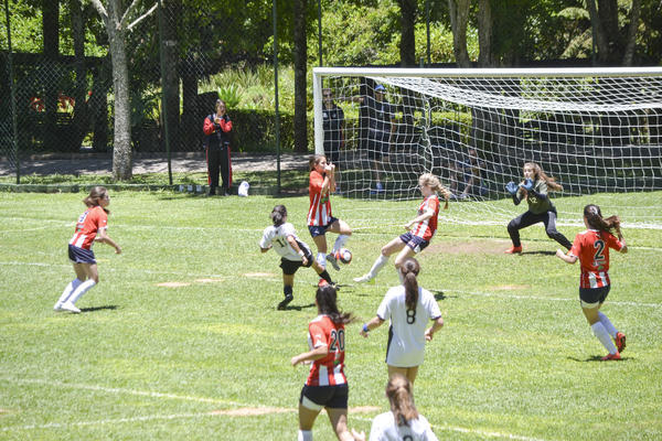 Buy your photos of the eventNR2 - Big 8 - 12 a 18/11/17 on Fotop