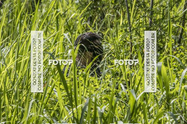 Acquista le foto dell'eventoOperao Pablo Escobar - JPA AirSoft in Fotop