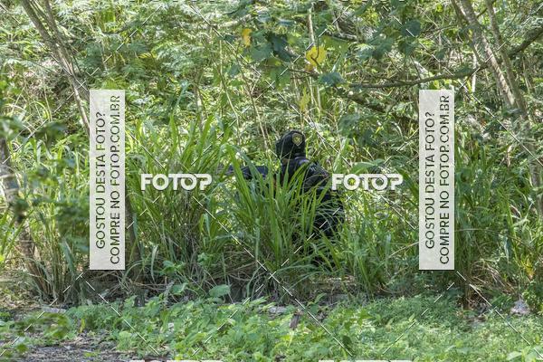 Buy your photos of the eventOperao Pablo Escobar - JPA AirSoft on Fotop