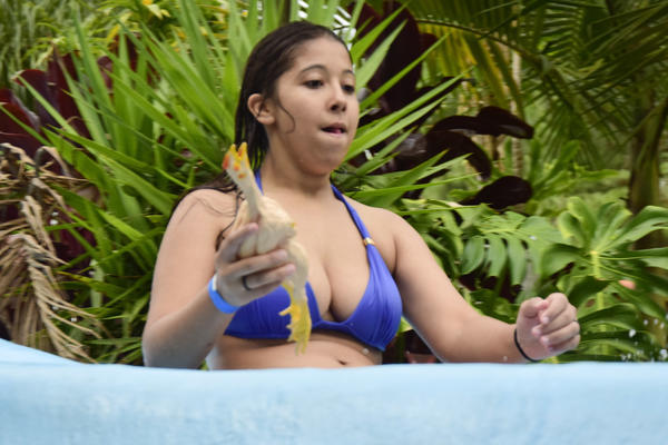 Buy your photos of the eventNR SUN - 15 A 19/11/17 on Fotop