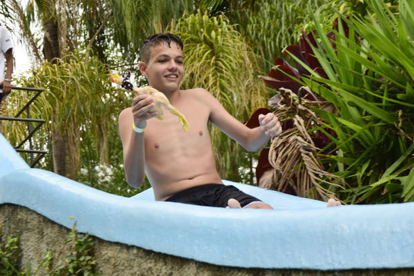 Buy your photos of the eventNR SUN - 15 A 19/11/17 on Fotop