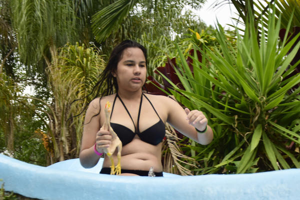 Buy your photos of the eventNR SUN - 15 A 19/11/17 on Fotop