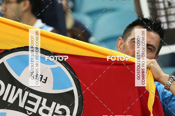 Achetez vos photos de l'�v�nementGr�mio x Lan�s - Libertadores 2017 sur Fotop