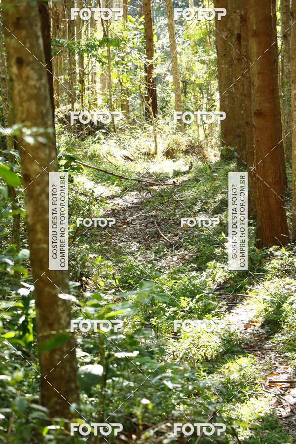 Buy your photos of the eventEvolution on Fotop