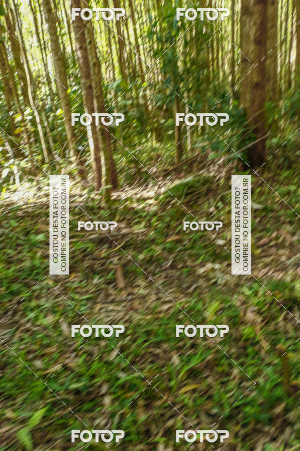 Buy your photos of the eventEvolution on Fotop