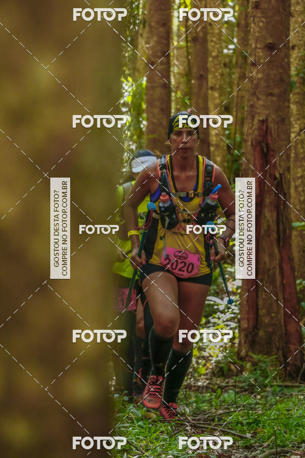 Buy your photos of the eventEvolution on Fotop