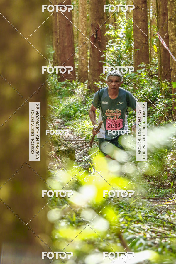 Buy your photos of the eventEvolution on Fotop