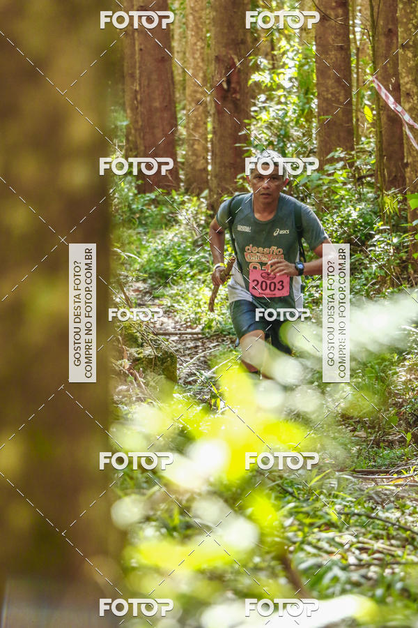 Buy your photos of the eventEvolution on Fotop