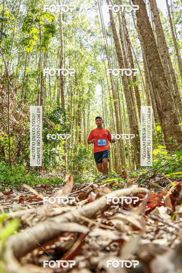 Buy your photos of the eventEvolution on Fotop