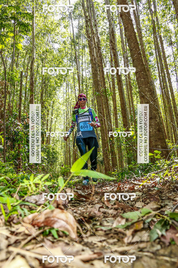 Buy your photos of the eventEvolution on Fotop