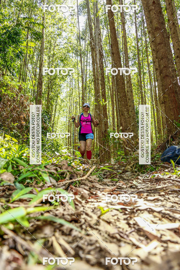 Buy your photos of the eventEvolution on Fotop