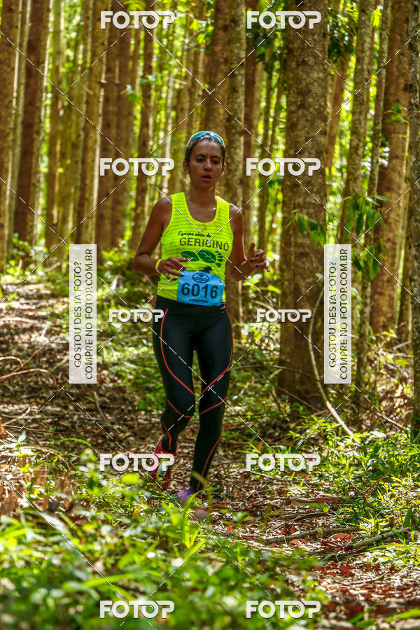 Buy your photos of the eventEvolution on Fotop