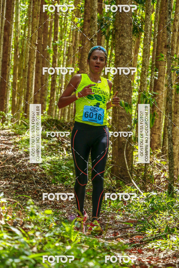 Buy your photos of the eventEvolution on Fotop