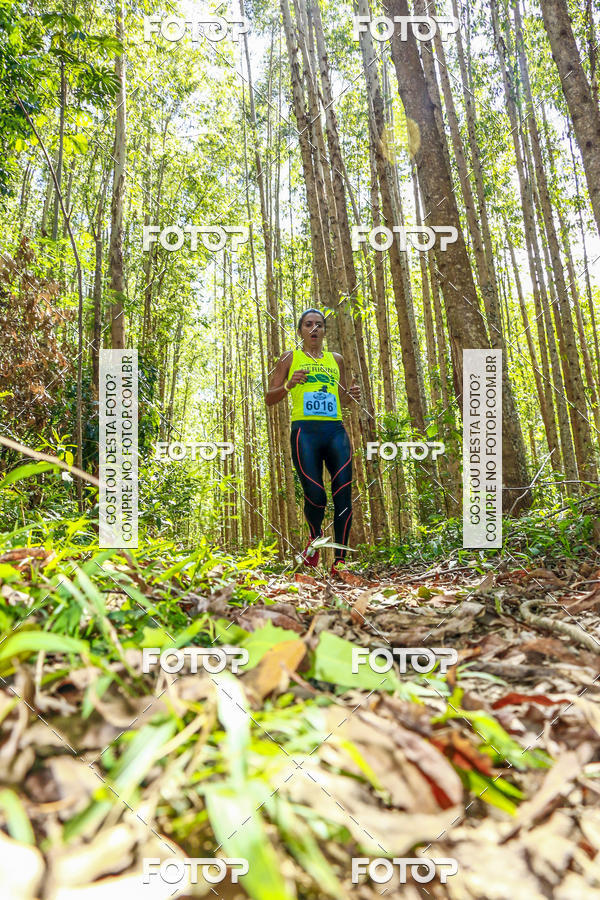 Buy your photos of the eventEvolution on Fotop