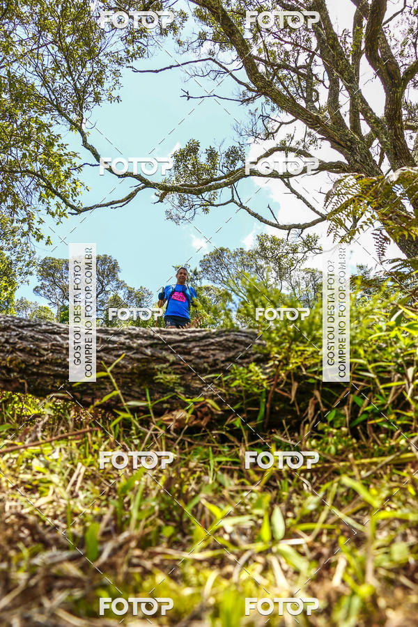 Buy your photos of the eventEvolution on Fotop